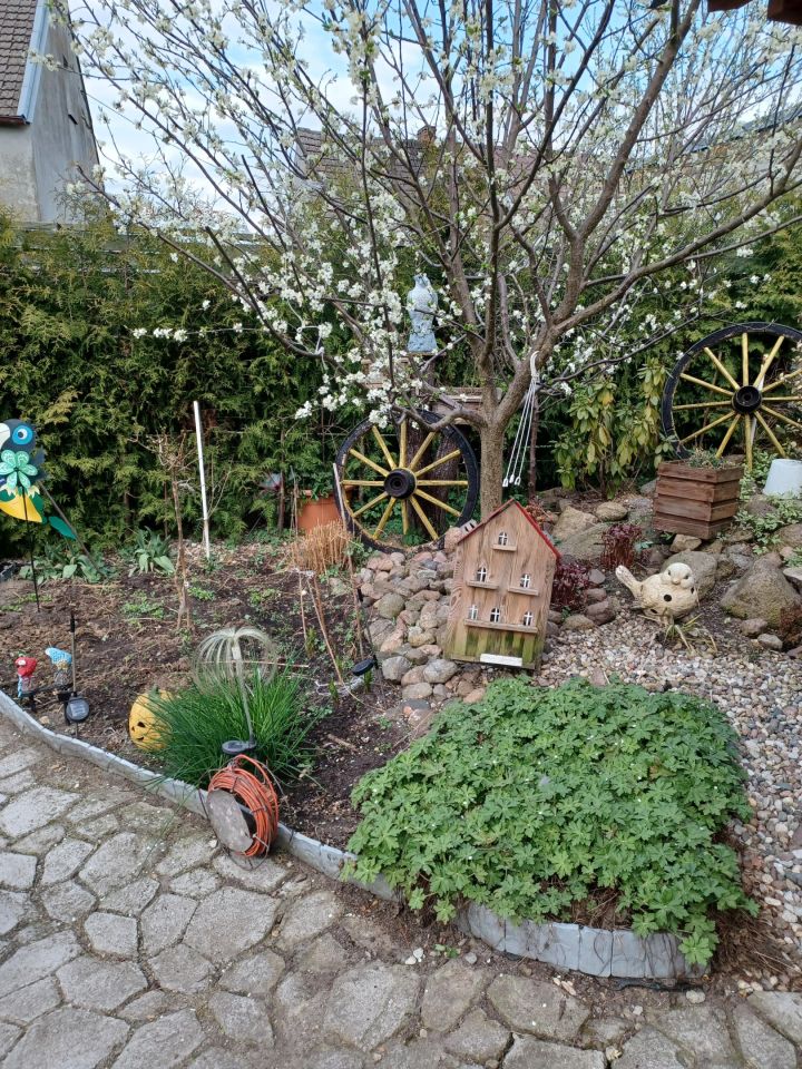 bliźniak, 2 pokoje Pęckowo, ul. Noja. Zdjęcie 9