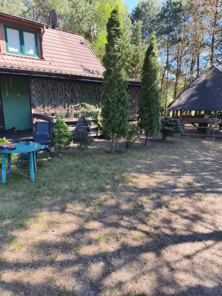 Działka rekreacyjna Zambski Kościelne, Leśna. Zdjęcie 2