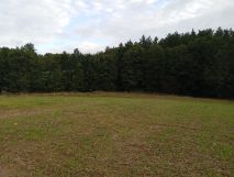 Działka budowlana Szumleś Szlachecki. Zdjęcie 1