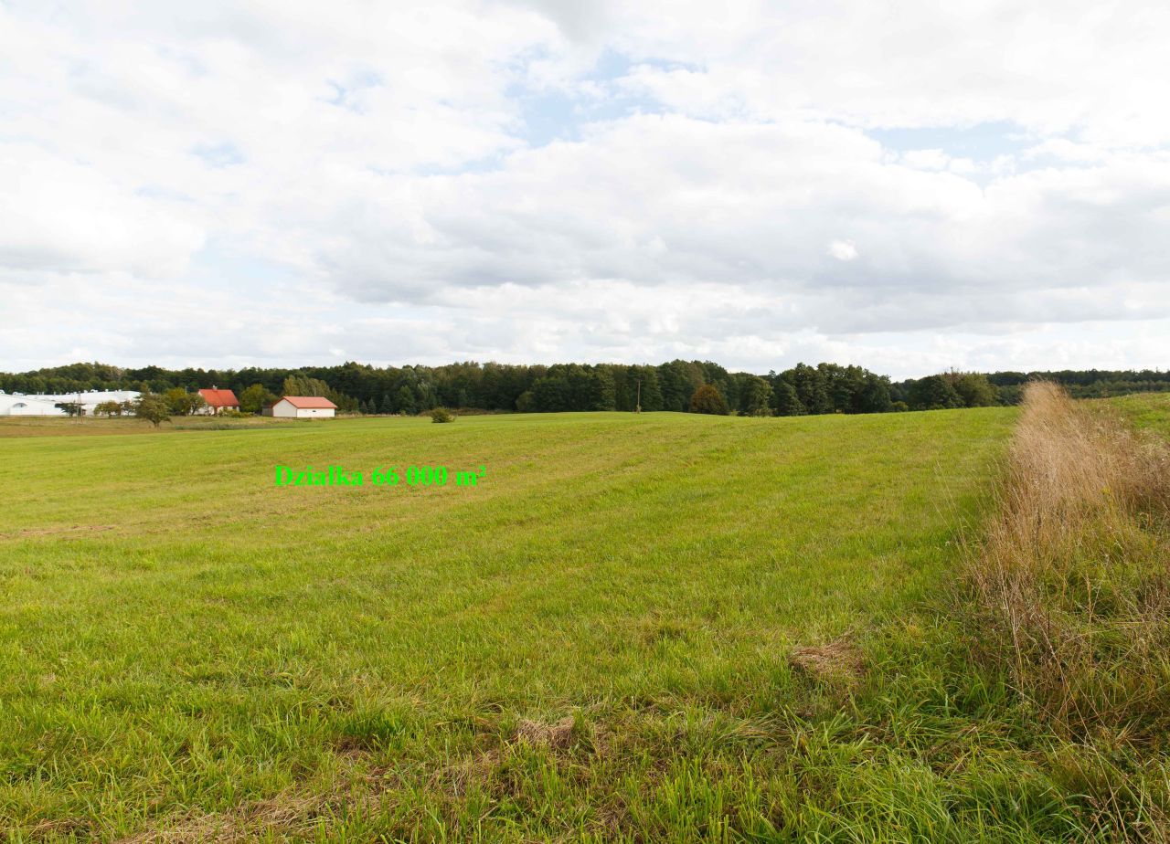 Działka inwestycyjna Laseczno. Zdjęcie 10