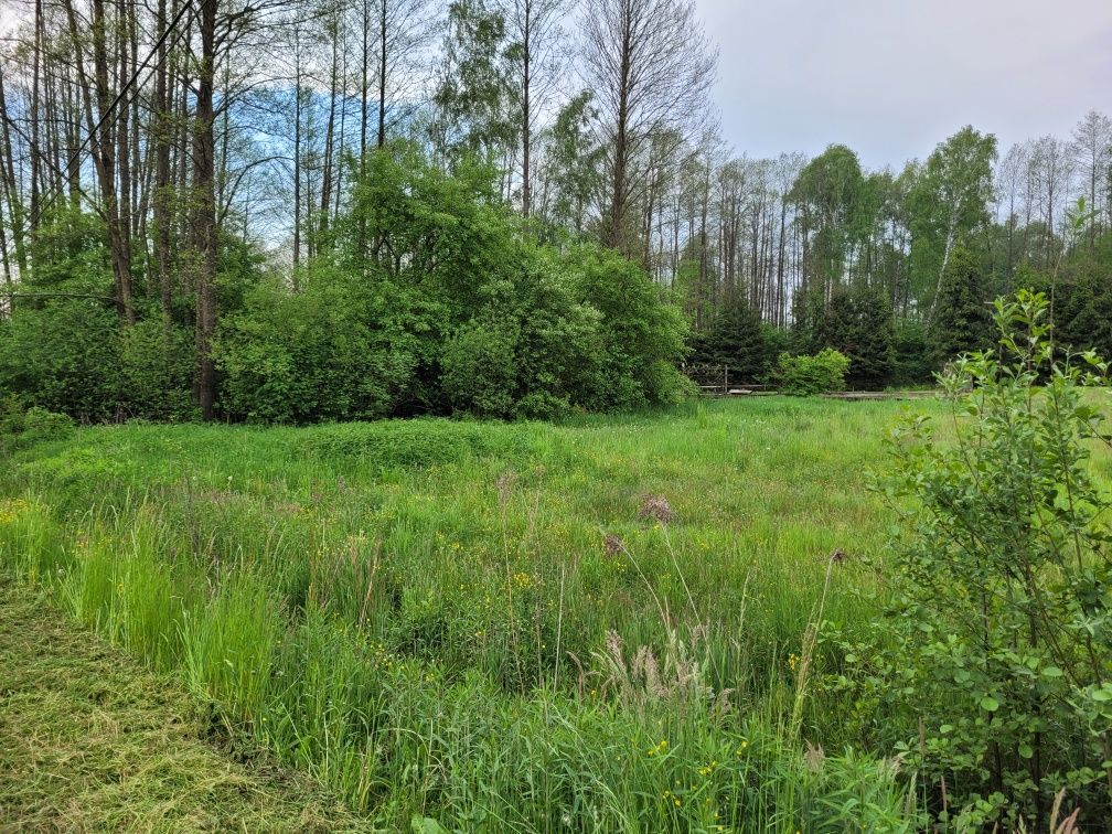 Działka budowlana Jarocin. Zdjęcie 3