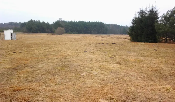 Działka rolno-budowlana Włoszczowa