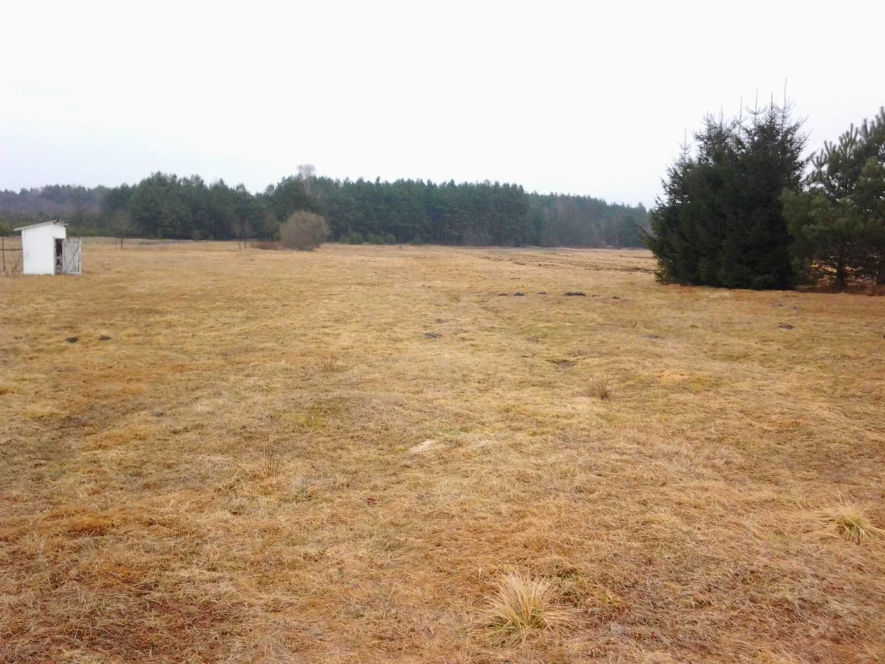 Działka rolno-budowlana Włoszczowa. Zdjęcie 1