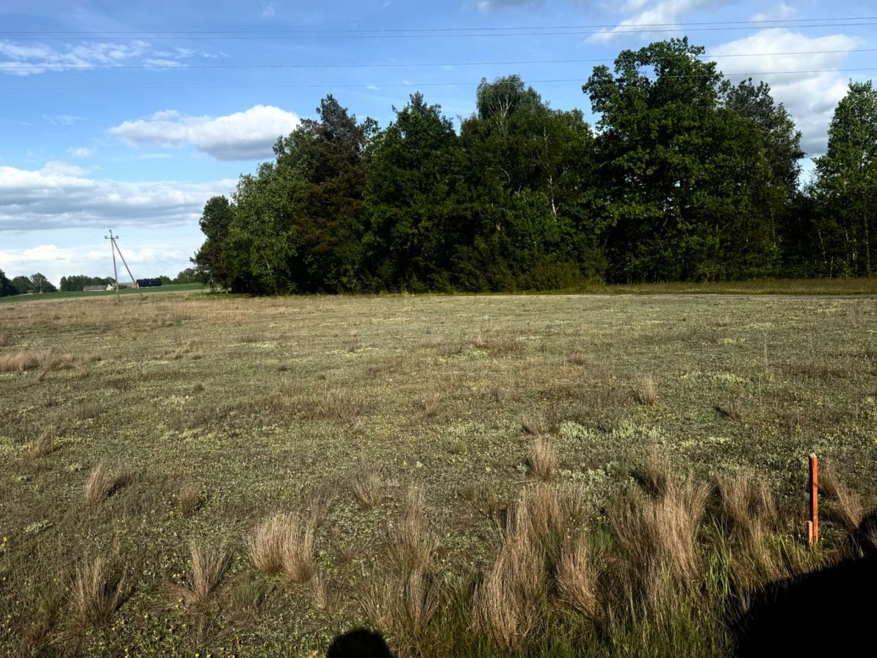 Działka budowlana Będźmierowice. Zdjęcie 1