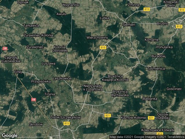 Działka rolna Brzeźnica Leśna. Zdjęcie 1