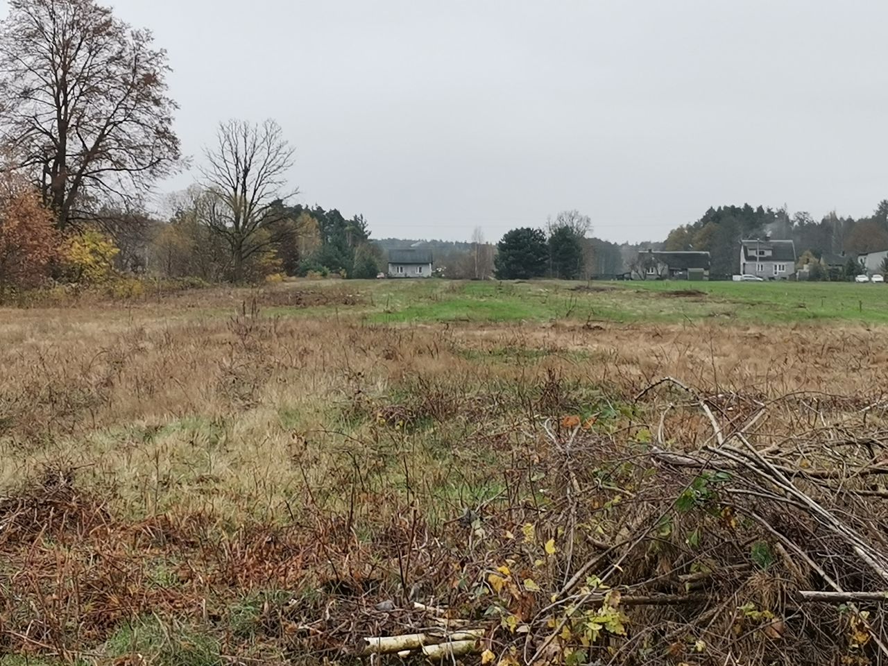 Działka rolno-budowlana Budy Józefowskie. Zdjęcie 2