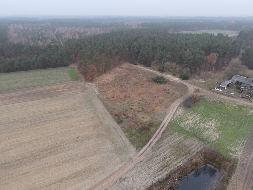 Działka budowlana Grzybów. Zdjęcie 6