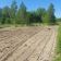 Działka budowlana Mińsk Mazowiecki. Zdjęcie 2