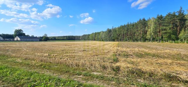 Działka budowlana Petrykozy, ul. Główna. Zdjęcie 3