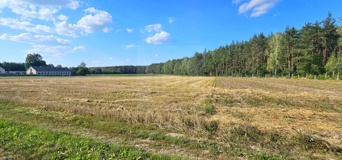 Działka budowlana Petrykozy, ul. Główna. Zdjęcie 3