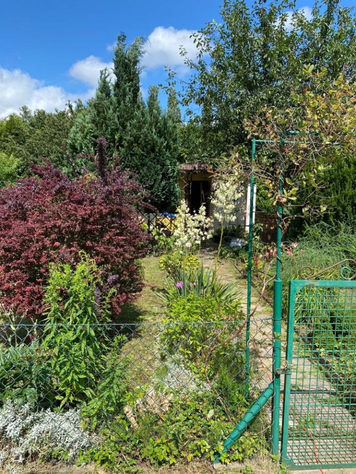 Działka rod Tczew. Zdjęcie 7