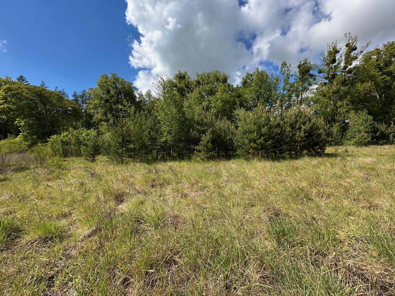 Działka budowlana Kleszczewo, ul. Skarszewska. Zdjęcie 6