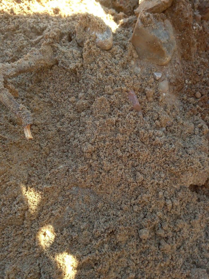 Działka rolna Łopuchowo. Zdjęcie 4