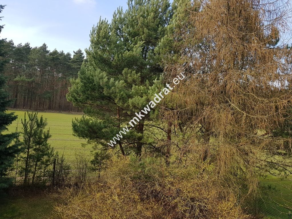 Działka Budy Wolskie. Zdjęcie 9