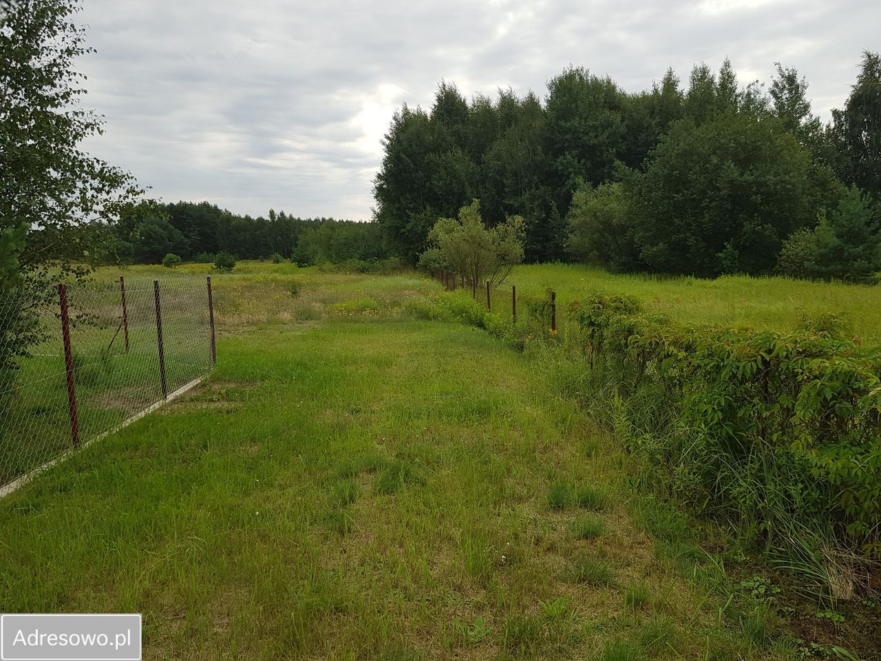 Działka budowlana Janowo. Zdjęcie 1