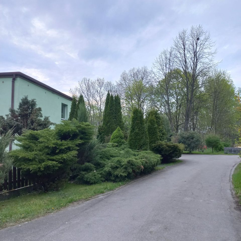 inny, 6 pokoi Przyszowice, Leśna. Zdjęcie 2