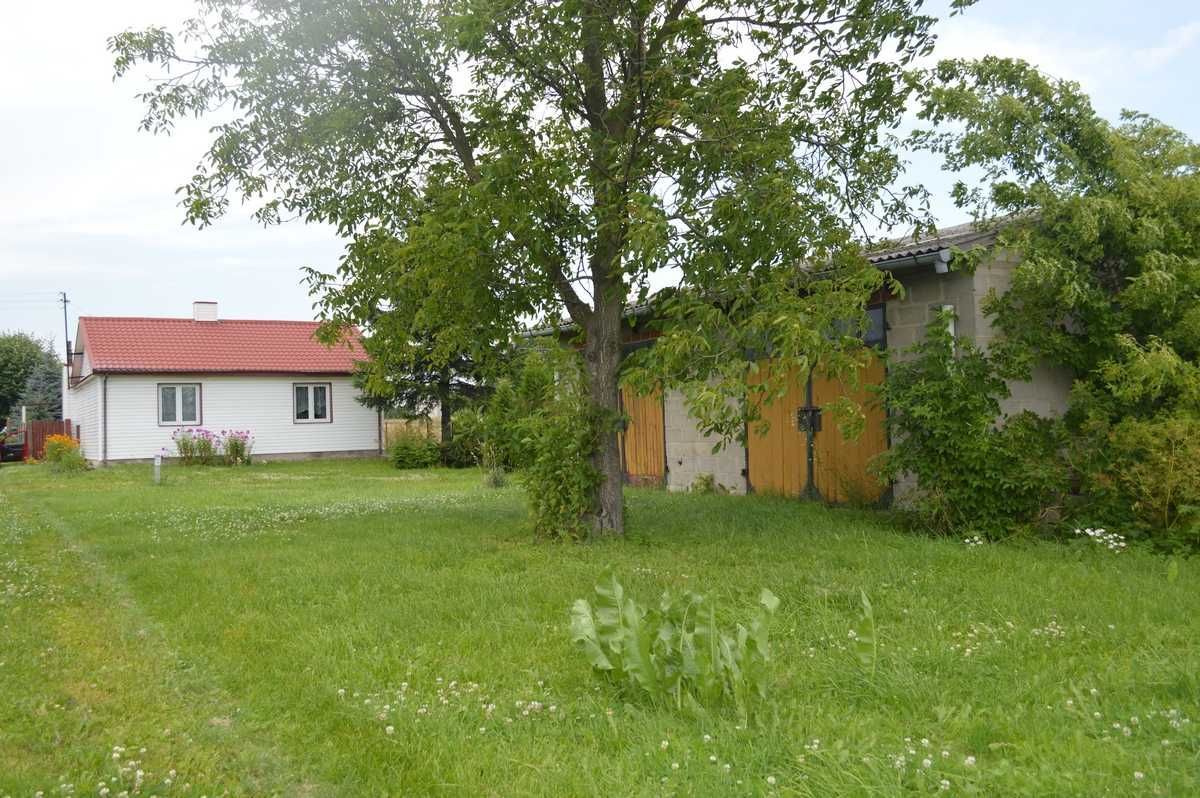 siedlisko Bełżyce. Zdjęcie 6