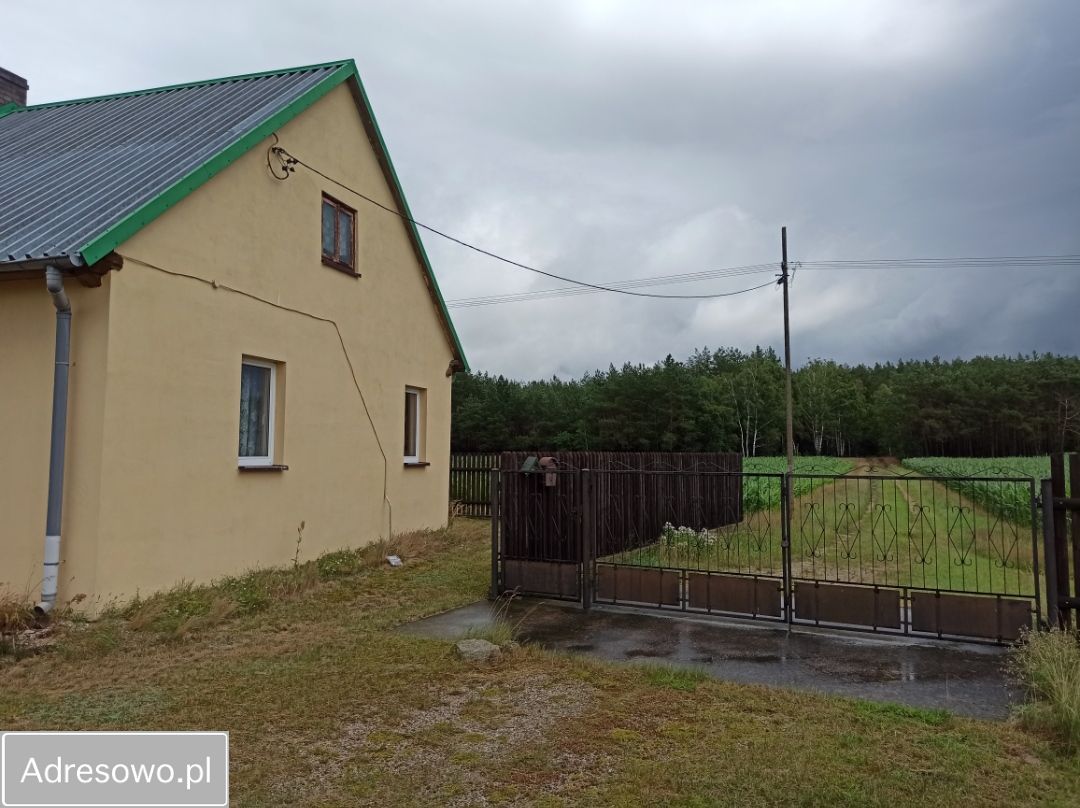 Działka siedliskowa Popiołki. Zdjęcie 19