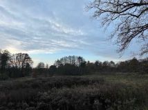 Działka rekreacyjna Łódź Bałuty. Zdjęcie 2