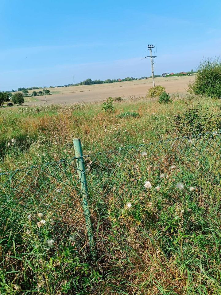 Działka budowlana Dębe. Zdjęcie 6