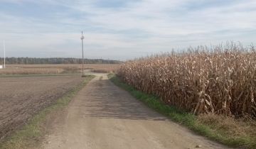 Działka budowlana Międzyrzecze, ul. Przeczna