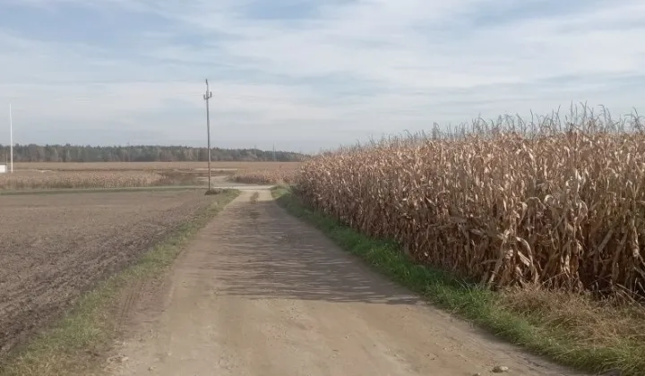 Działka budowlana Międzyrzecze, ul. Przeczna