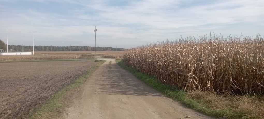 Działka budowlana Międzyrzecze, ul. Przeczna
