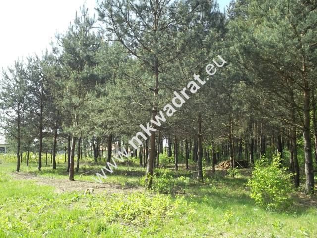 Działka budowlana Stara Wieś. Zdjęcie 1