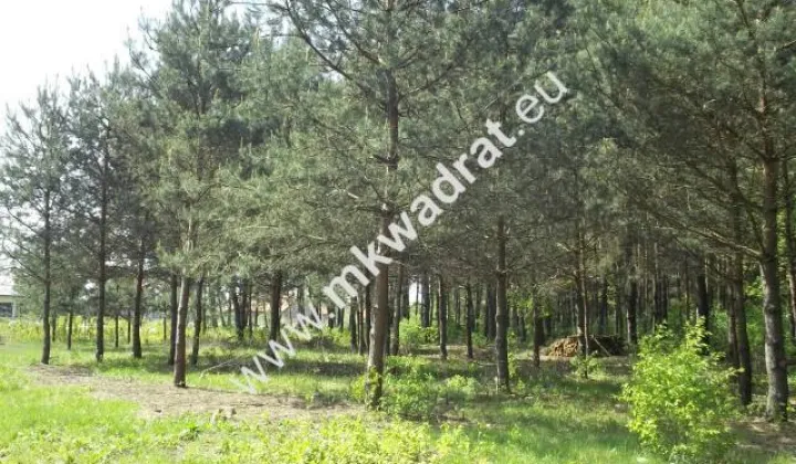 Działka budowlana Stara Wieś