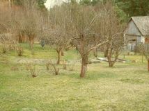 dom wolnostojący, 4 pokoje Rudnik, ul. Górna. Zdjęcie 4