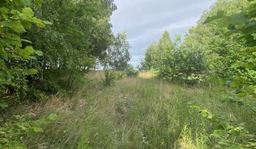Działka rekreacyjna Piotrowo