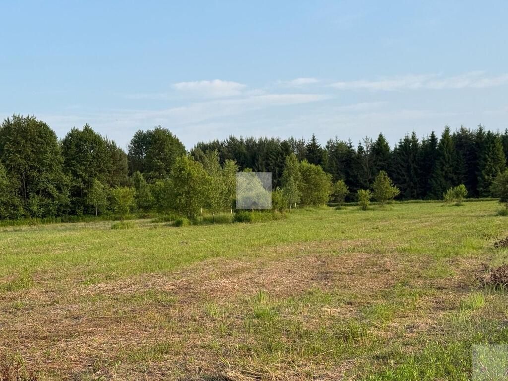 Działka rekreacyjna Radawa, ul. Cienkie. Zdjęcie 7