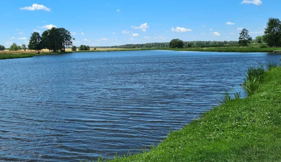 Działka budowlana Dłużew. Zdjęcie 4