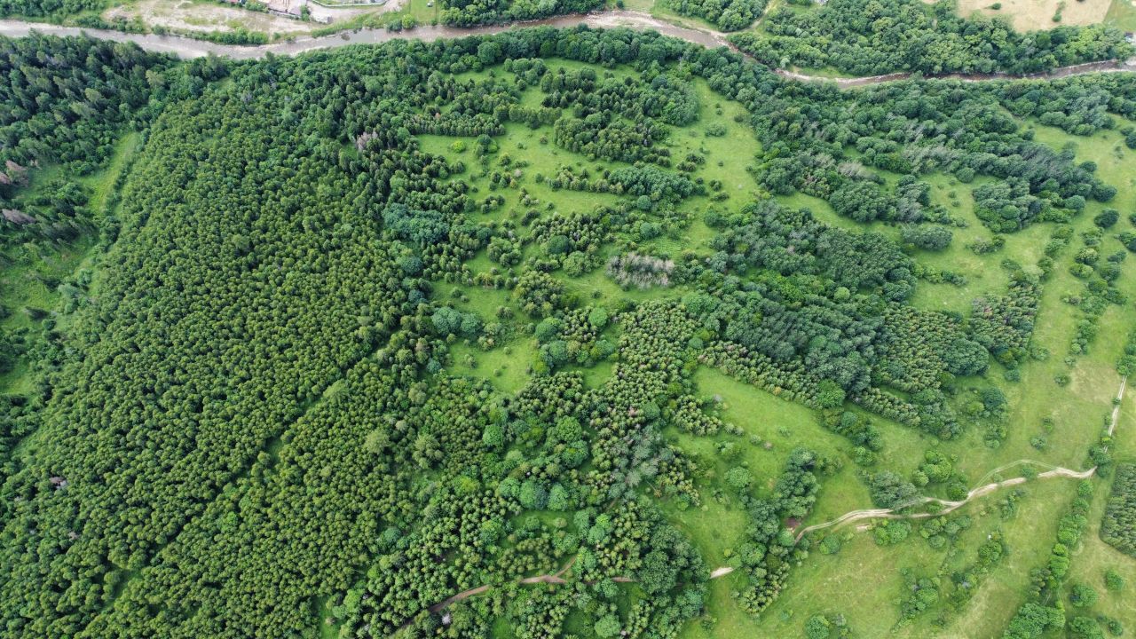 Działka rolna Rycerka Dolna U Brandysa. Zdjęcie 2