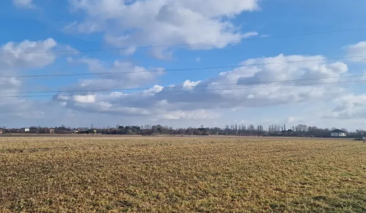 Działka rolna Brzezinka, ul. Zapłocie