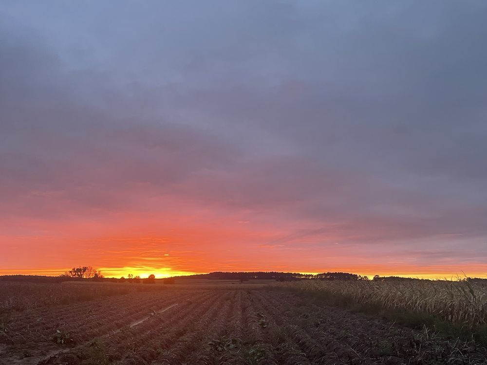 Działka budowlana Kopczyn. Zdjęcie 8