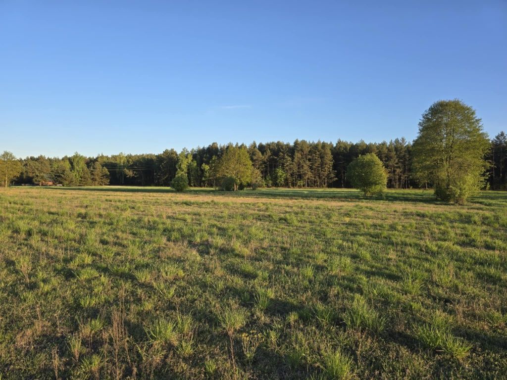 Działka budowlana Brzóze Małe. Zdjęcie 4