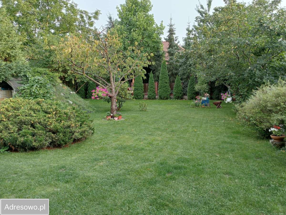 Działka budowlana Dziekanów Leśny. Zdjęcie 5