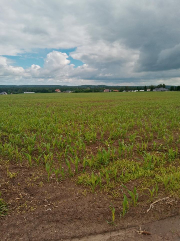 Działka budowlana Nowa Wieś, ul. Cicha. Zdjęcie 4