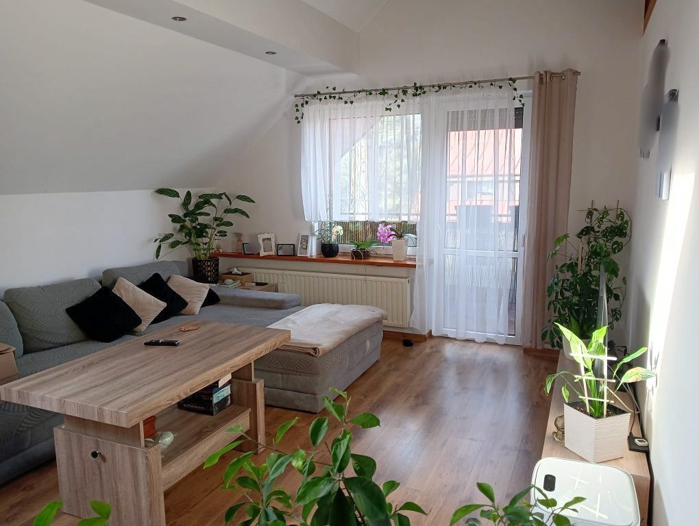 dom wolnostojący, 8 pokoi Opole Winów, pl. Róż. Zdjęcie 12
