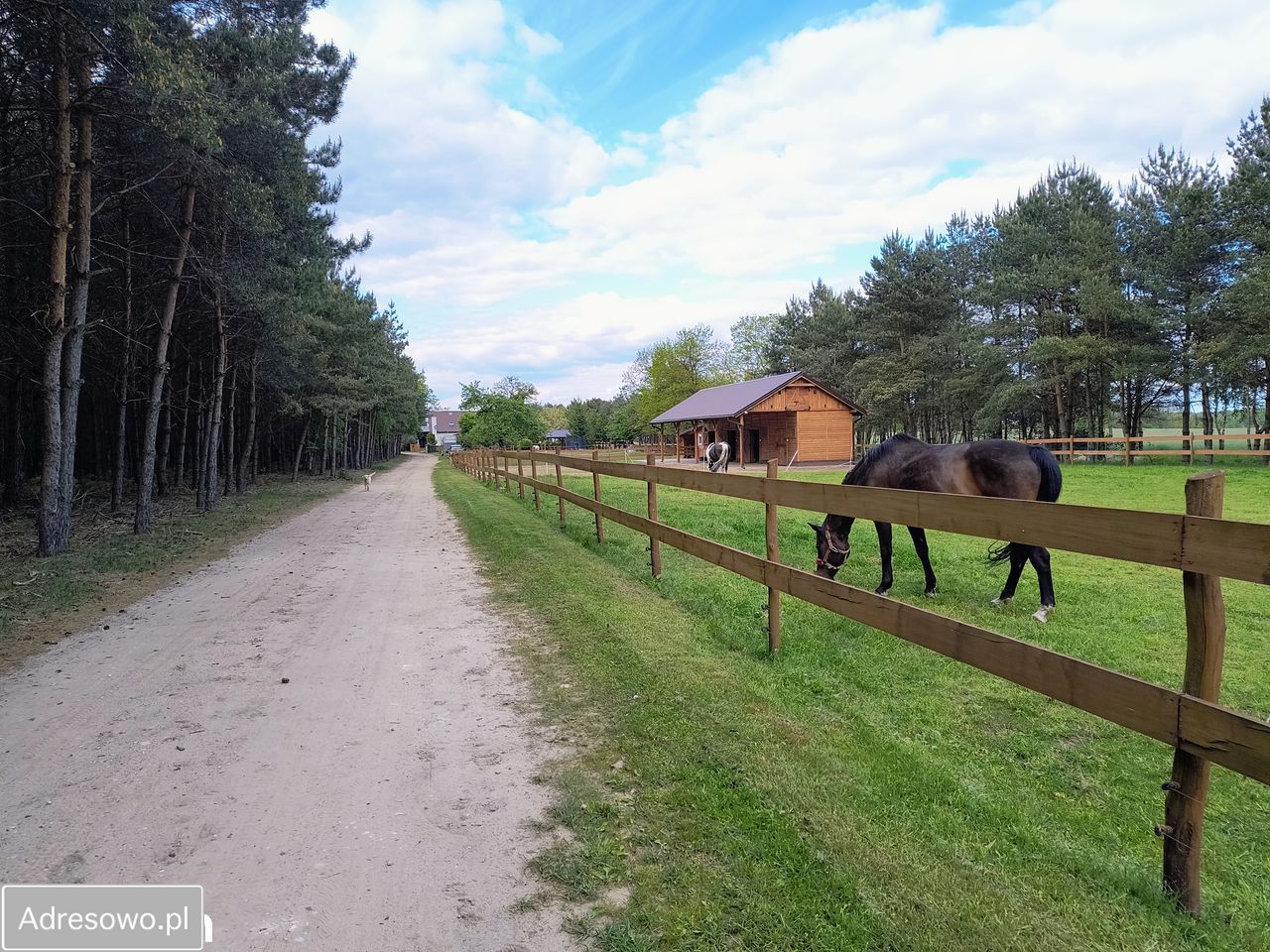 gospodarstwo, 6 pokoi Tarnowa. Zdjęcie 15