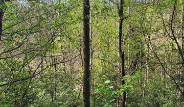 Działka budowlana Naprawa