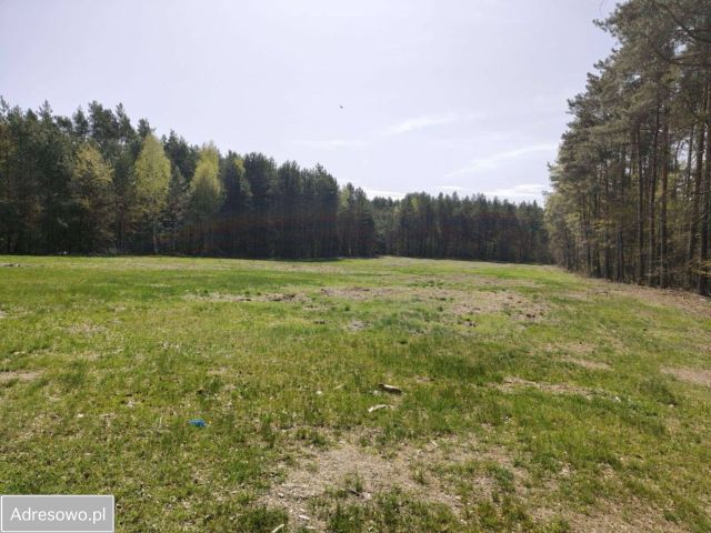 Działka budowlana Zalesna. Zdjęcie 1