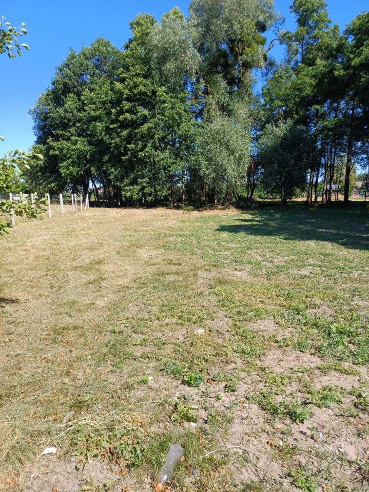 Działka rolno-budowlana Zwola. Zdjęcie 8