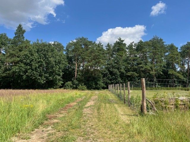 Działka budowlana Podańsko, ul. Radosna. Zdjęcie 2