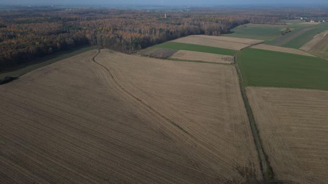 Działka rolna Zbrosławice, ul. Ogrodowa. Zdjęcie 1