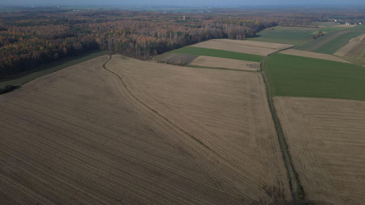 Działka rolna Zbrosławice, ul. Ogrodowa