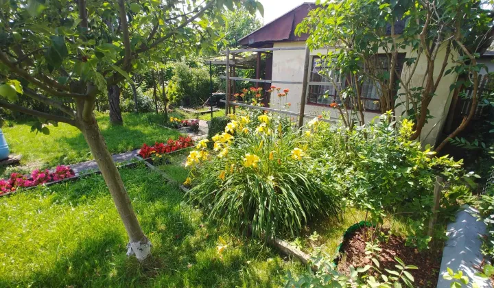 Działka rod Skarżysko-Kamienna, ul. Łąkowa