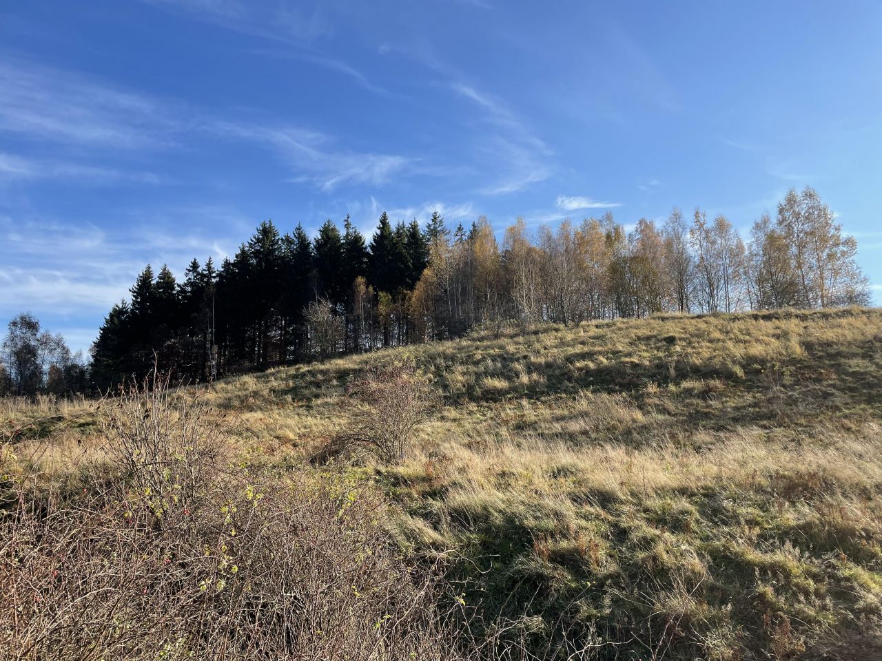 Działka siedliskowa Ptaszków. Zdjęcie 4