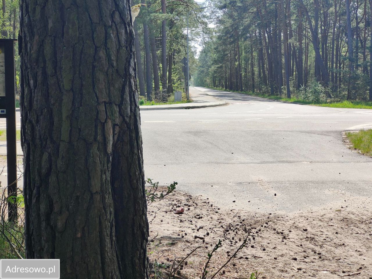 Działka budowlana Rusinowo. Zdjęcie 10